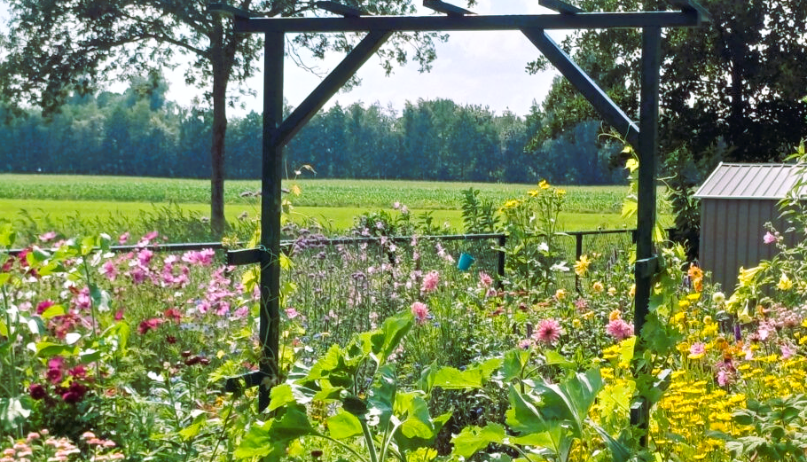 Het bloemenweitje met de bijenkasten waar de bijen honing verzamelen en de imker gelukkig wordt. Gedurende alle seizoenen bloeiende bloemen.